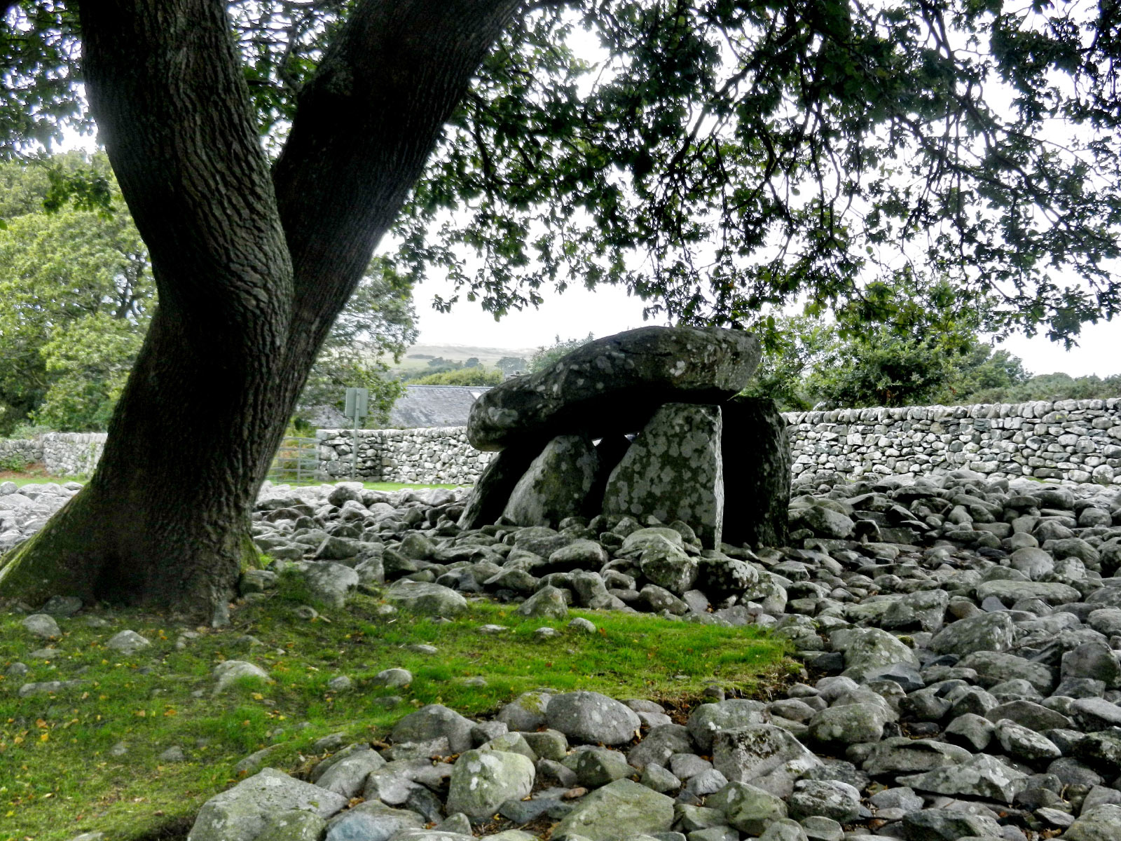 Dyffryn Burial Chamber